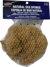 Dynamic 00004 Natural Sea Sponge 5" - 5.5" (12-14cm)