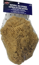 Dynamic 00006 Natural Sea Sponge 8" - 9" (20-23cm)