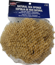 Dynamic 00008 Natural Sea Sponge 7" - 7.5" (17-19cm)